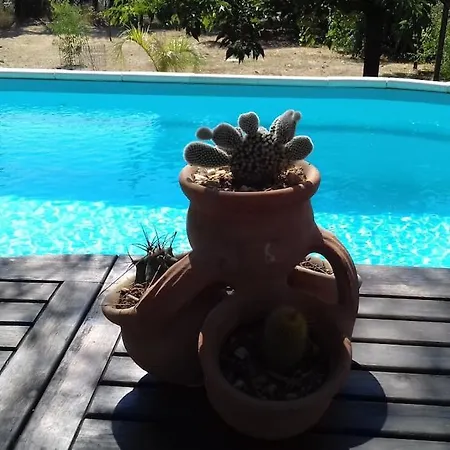 빌라 Climatisee Piscine *